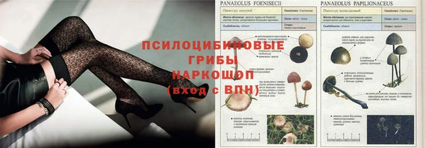 бошки Алзамай
