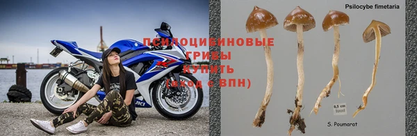 крисы Алексеевка