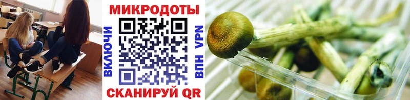цены   Николаевск-на-Амуре  Псилоцибиновые грибы GOLDEN TEACHER 
